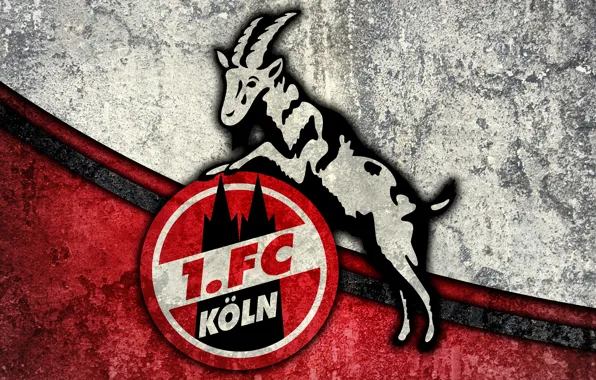 Wallpaper, logo, football, Sport, 1. FC Koln