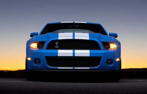Картинка Ford, shelby, gt 500