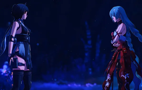 Картинка ночь, встреча, аниме, две девушки, anime, anime girls, видео игры, Havoc