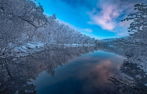 Картинка зима, лес, деревья, отражение, река, Финляндия, Finland, Lapland