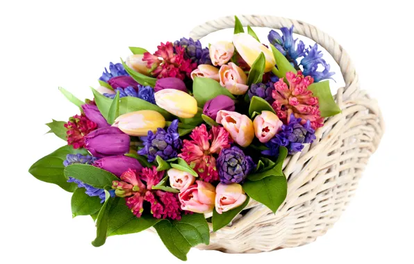 Цветы, тюльпаны, корзинка, гиацинты