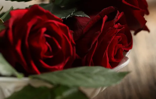 Листья, цветы, букет, бутоны, flowers, leaves, bouquet, red roses