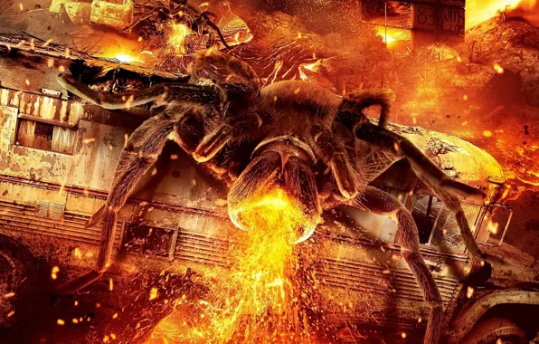 City, cinema, spider, fire, flame, chaos, movie, animal