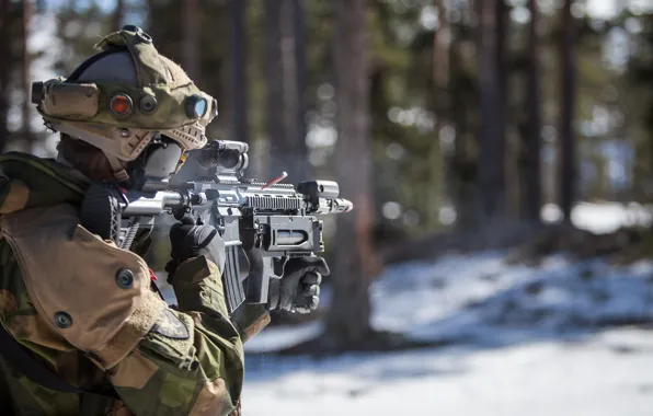 Картинка оружие, армия, солдат, Norwegian Army