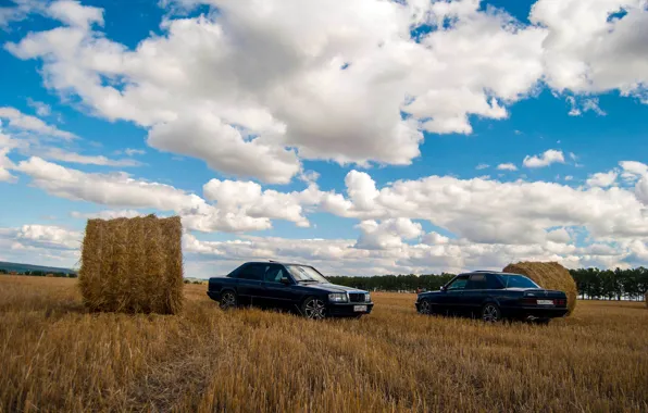 Поле, природа, стог, деревня, mercedes, mercedes-benz, мерседес, мерин