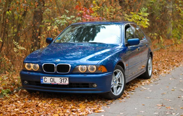 Авто, осень, e39