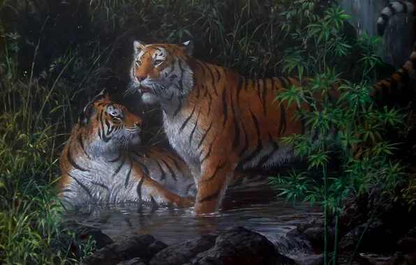 Картинка вода, кошки, ночь, рисунок, хищники, картина, бамбук, арт