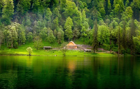 Лес, озеро, дом, берег