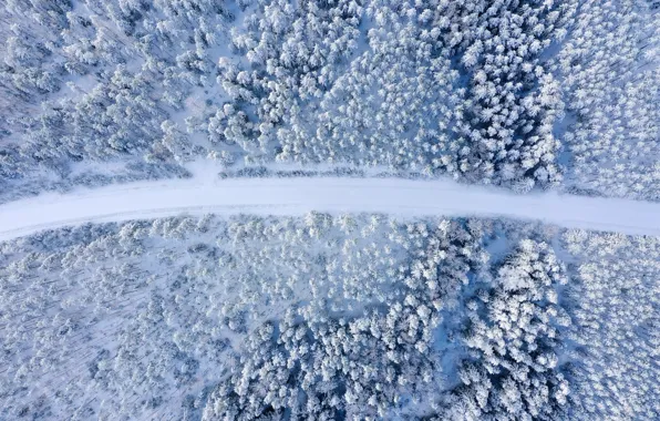Картинка зима, дорога, лес, снег, деревья, пейзаж, природа, вид сверху