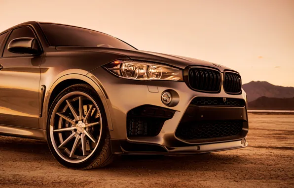 Дизайн, стиль, передок, BMW X6M