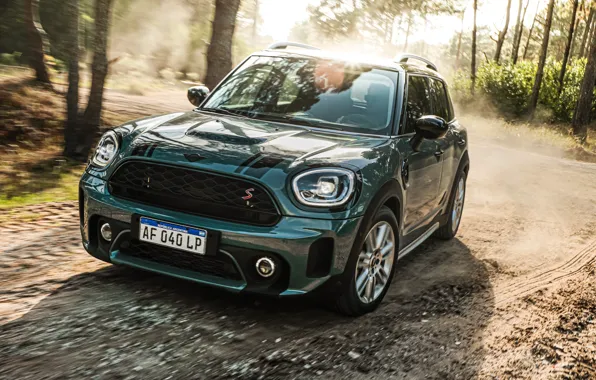 Cooper, Countryman, Лес, MINI, Cooper S, Forest, 2021, Countryman S