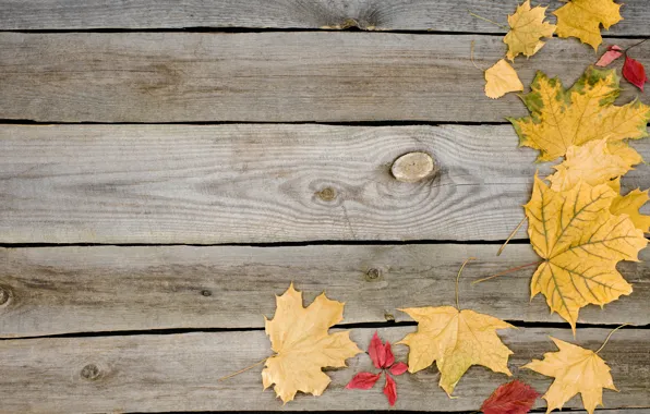 Осень, листья, фон, дерево, доски, wood, background, autumn