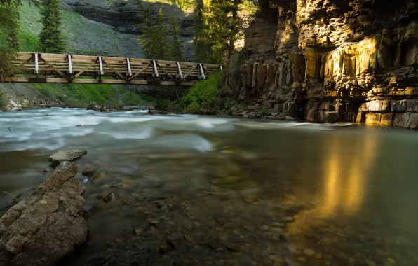 Картинка деревья, мост, природа, скала, река, США, montana river