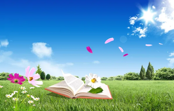 Небо, листья, цветы, книга, книжка, облака голубая