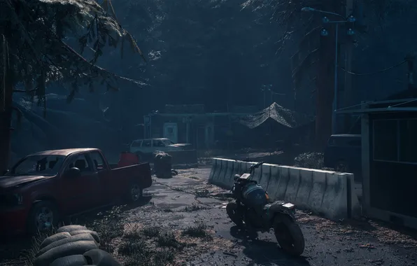 Car, trees, night, motorcycle, vehicle, video games, apocalyptic, Days Gone