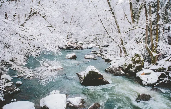 Картинка зима, снег, деревья, ветки, река, камни
