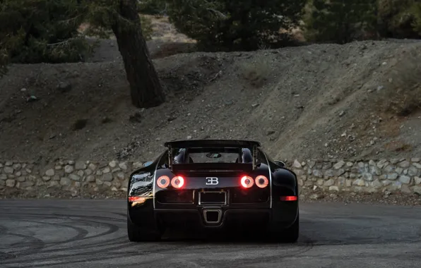 Bugatti, Veyron, Bugatti Veyron, rear, 16.4, Sang Noir