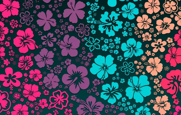 Картинка цветы, фон, flowers, color