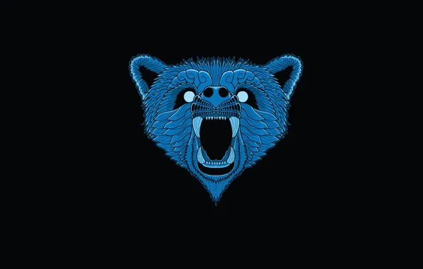 Морда, синий, минимализм, голова, медведь, черный фон, bear