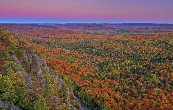 Картинка осень, лес, деревья, горы, скалы, долина