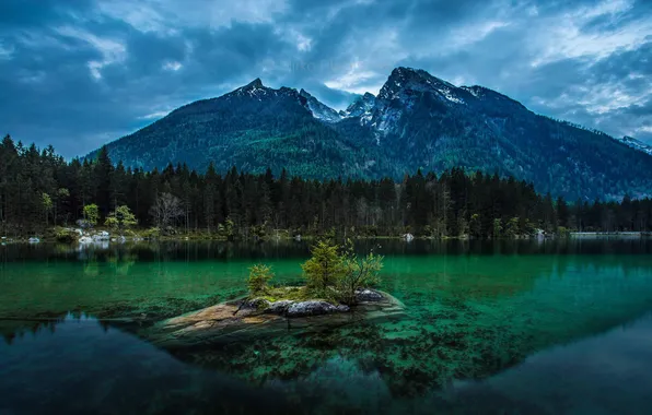 Картинка лес, горы, природа, озеро, отражение