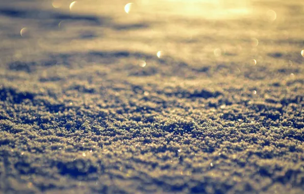 Картинка зима, солнце, макро, снег, фон, обои, день, wallpaper