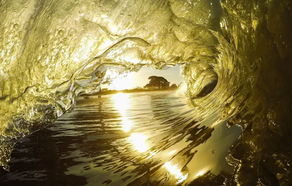 Картинка море, волны, вода, свет, деревья