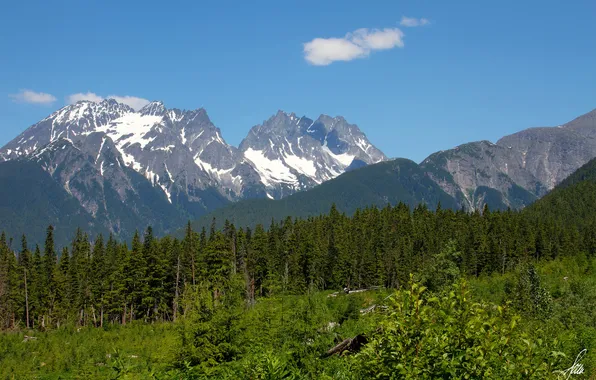 Картинка лес, деревья, горы, природа, Аляска, Alaska