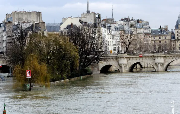 Картинка деревья, мост, река, Париж, дома