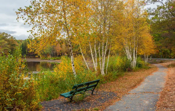 Картинка осень, деревья, природа, парк