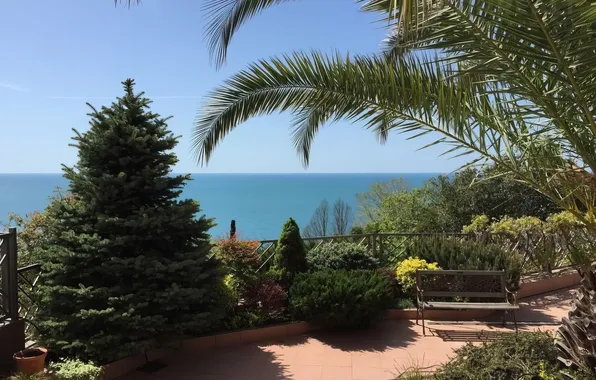 Природа, Nature, Сочи, Sochi, Sea View, Вид на Море