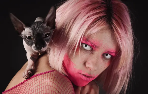 Взгляд, фон, Sphynx, Albina Zavtur