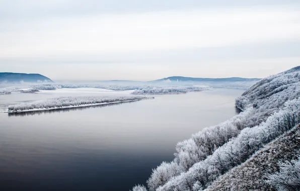 Wood, Winter, Water, Snow, Sea, Trees, Andrey Aldoshkin