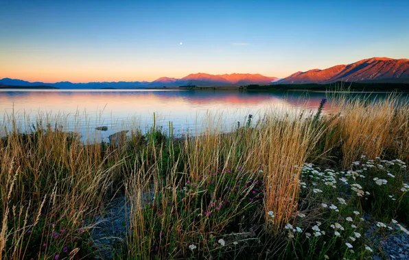 Пейзаж, природа, озеро