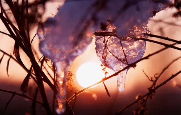 Картинка лед, зима, трава, солнце, закат, искры
