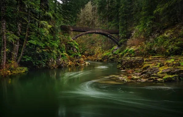 Картинка лес, мост, река, Lewis River, Washington State, Штат Вашингтон, Река Льюис, Мост Моултон-Фолс