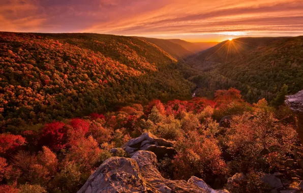 Картинка осень, лес, пейзаж, закат, краски, свет. природа