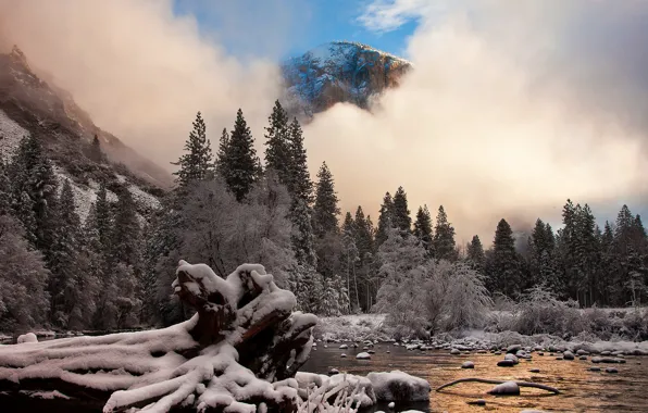 Иней, снег, горы, природа, калифорния, Yosemite National Park