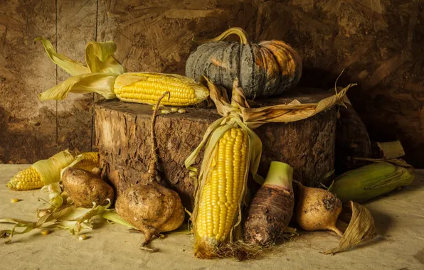 Картинка кукуруза, урожай, тыква, натюрморт, овощи, autumn, still life, pumpkin