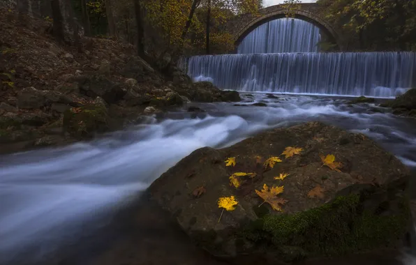 Осень, лес, листья, мост, природа, камни, течение, листва