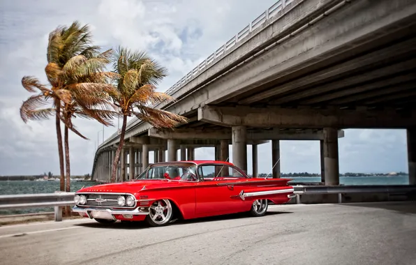 Тачки, 1960, chevrolet, cars, auto wallpapers, авто обои, авто фото, impala