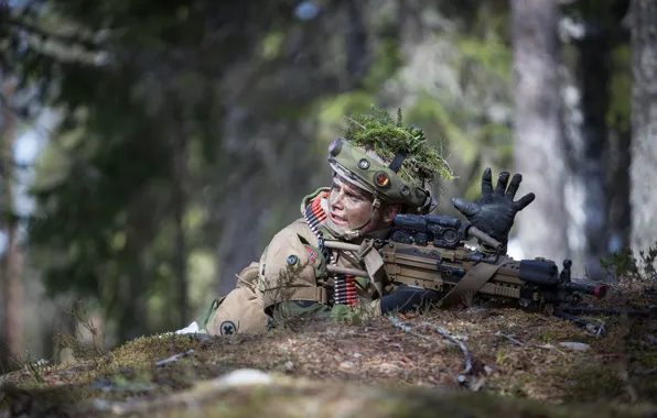 Картинка оружие, армия, солдат, Norwegian Army