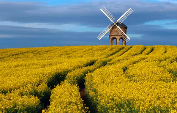 Картинка поле, небо, весна, Апрель, Великобритания, графство, рапс, ветряная мельница