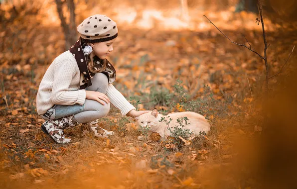 Картинка осень, кот, природа, животное, девочка, Владимир Васильев