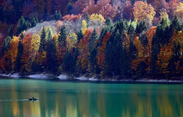 Картинка осень, лес, горы, природа, озеро, гладь, лодка, рыбак