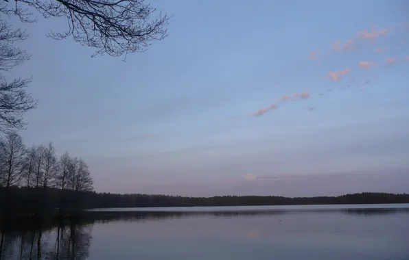 Лес, озеро, карелия
