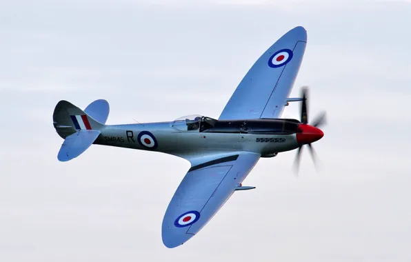 Картинка небо, полёт, самолёт, WW2, Spitfire FR.XVIIIe, британский истребитель