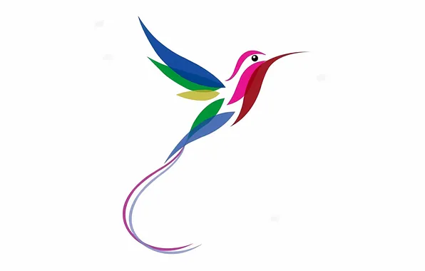 Colorful, bird, multicolor, hummingbird, stylized hummingbird, long tail