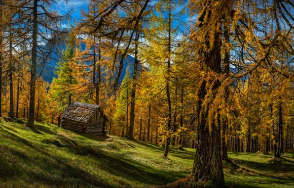 Осень, горы, Австрия, домик, Тироль