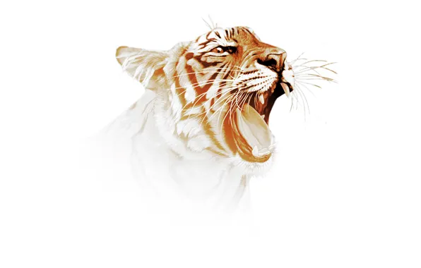 Картинка тигр, хищник, арт